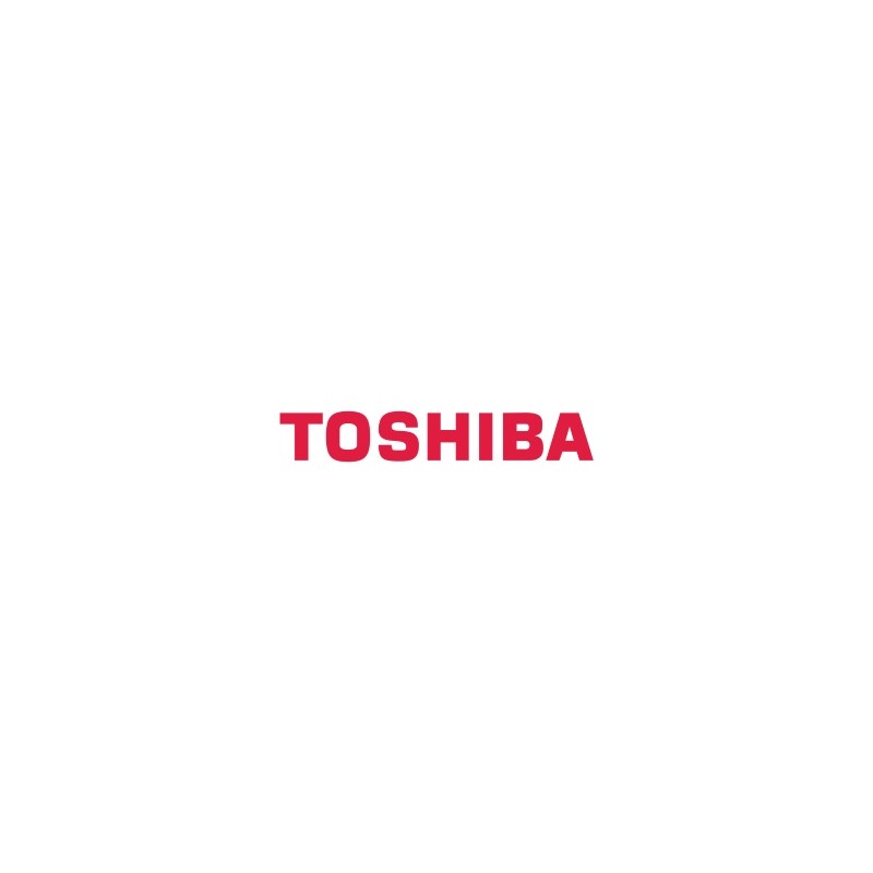 TOSHIBA ACCESSORI 6A000000041 STAPLE-2000 FERMAGLIE, 3X 5000 PEZZI ORIGINALE