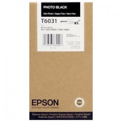 Epson Cartuccia D\'Inchiostro Nero (Foto) C13T603100 T6031 220Ml Originale