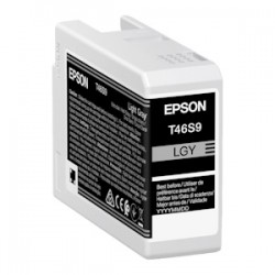 Epson Cartuccia D\'Inchiostro Grigio (Chiaro) C13T46S900 T46S9 25Ml Originale