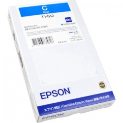 Epson Cartuccia D\'Inchiostro Ciano C13T14B240 T14B2 8000 Copie Originale